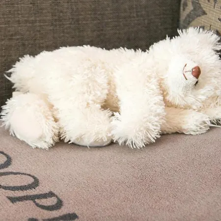 Appartamento Exklusive Familienapartment Alpin Garmisch-Partenkirchen